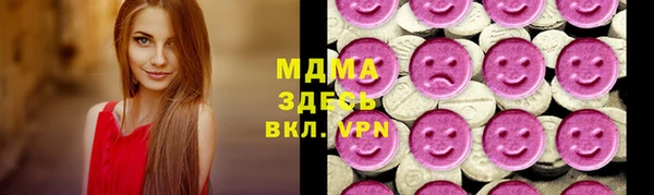 хмурый Арсеньев