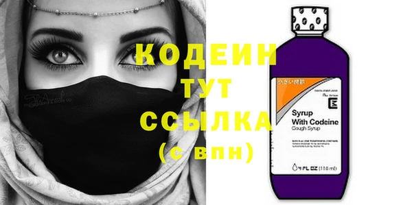 хмурый Арсеньев