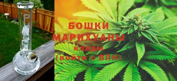 хмурый Арсеньев