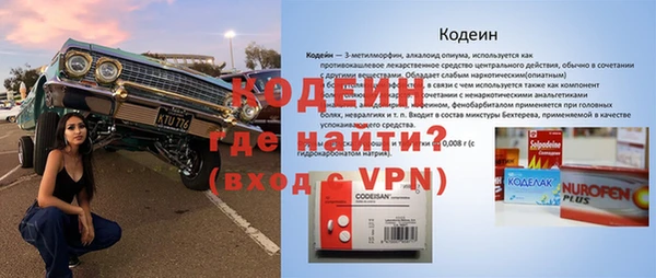 хмурый Арсеньев