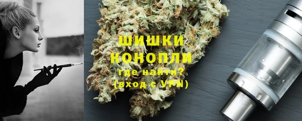 хмурый Арсеньев