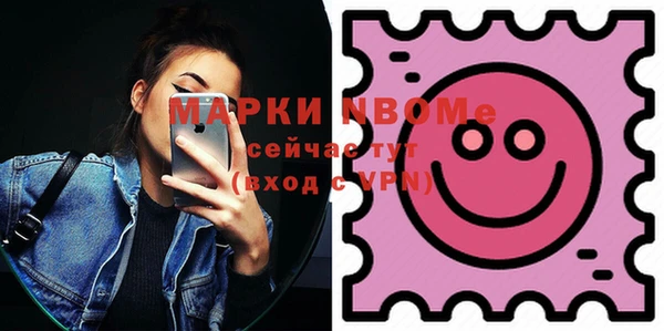 хмурый Арсеньев