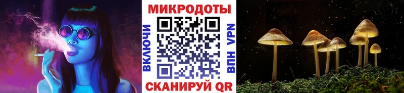 Галлюциногенные грибы Cubensis  купить наркотики сайты  Межгорье 